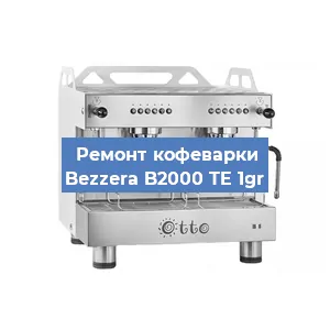 Замена прокладок на кофемашине Bezzera B2000 TE 1gr в Воронеже